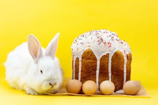 Coelho vivo macio branco de Páscoa com um cupcake de ovos de Páscoa em uma parede amarela pastel. Conceito para o feriado da Páscoa