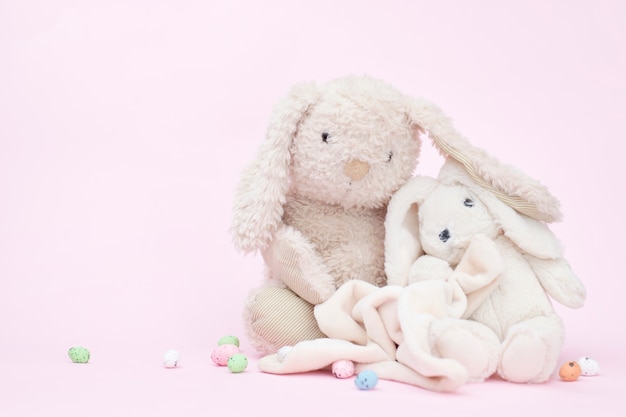 Coelhos bonitos em rosa, cópia espaço