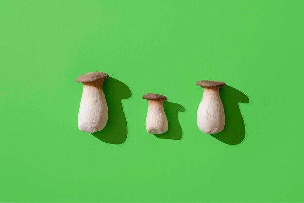 Cogumelo Boletus edulis sobre fundo verde vista superior Cogumelos silvestres comestíveis minimalista