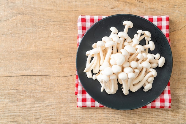 Cogumelo branco de faia ou cogumelo reishi branco