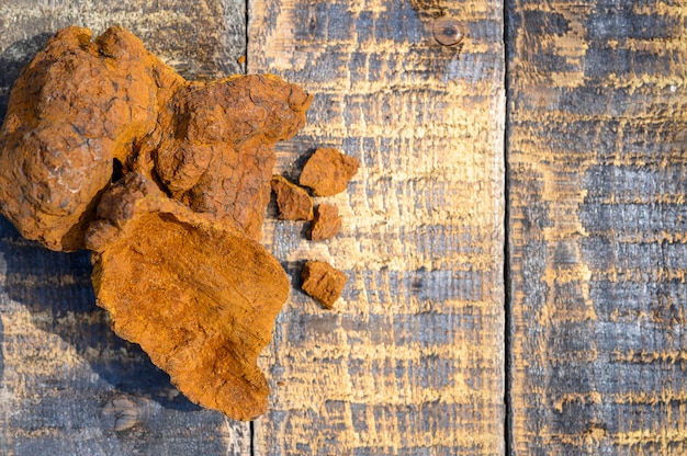 Cogumelo chaga de vidoeiro selvagem descascado em uma superfície de madeira