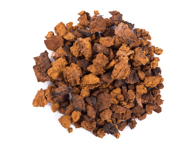 Cogumelo Chaga