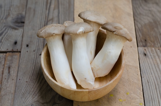 Cogumelo com ervas de rei Pleurotus