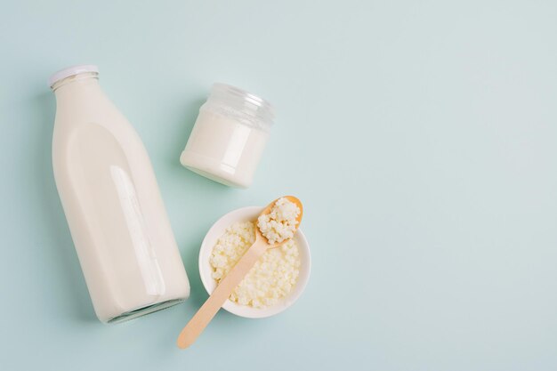 Cogumelo de leite orgânico probiótico fermentado produtos lácteos tigela de vidro Alimentos fermentados conceito de alimentação saudável Espaço para texto