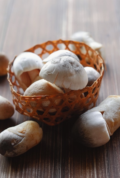 cogumelo de palha (Volvariella vovacea).