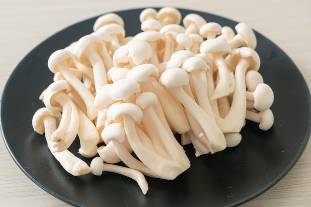 Foto cogumelo fresco de faia branca ou cogumelo reishi branco no prato