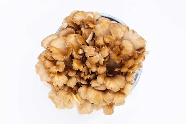 Cogumelo frondose Maitake Grifola no fundo branco