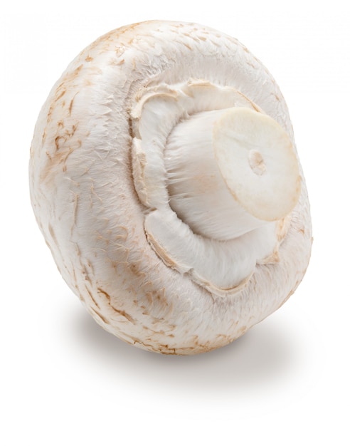 Cogumelo inteiro (champignon, pé cortado, Agaricus Bisporus) e cru. Isolado no fundo branco