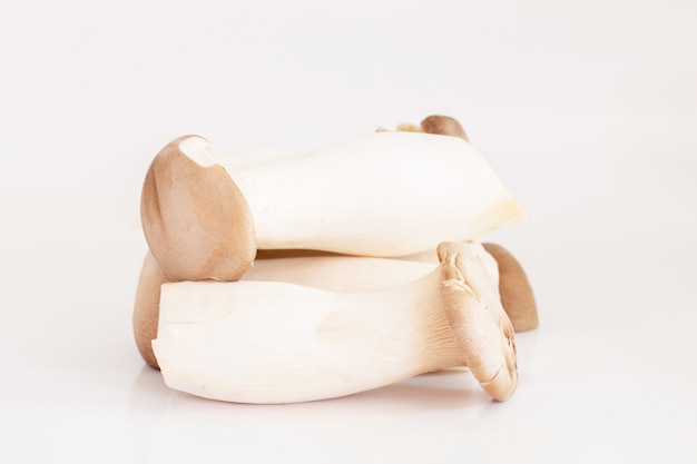 Cogumelo-ostra rei ou cogumelo Eryngii isolado no branco