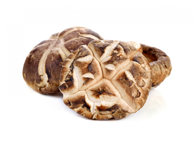 Cogumelo Shiitake seco isolado no branco