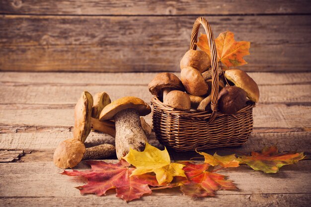 Cogumelos Boletus sobre fundo de madeira