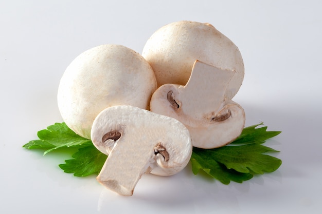 Cogumelos champignon branco sobre fundo branco