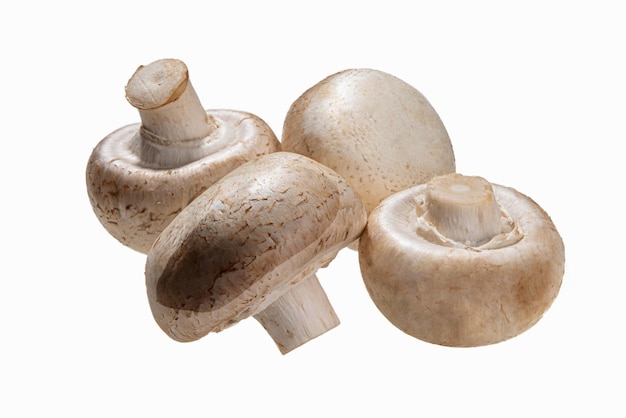 Cogumelos champignon em branco