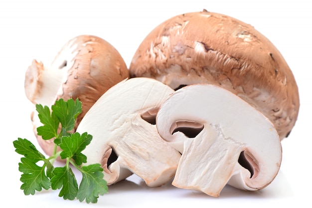 Cogumelos champignon em um branco isolado