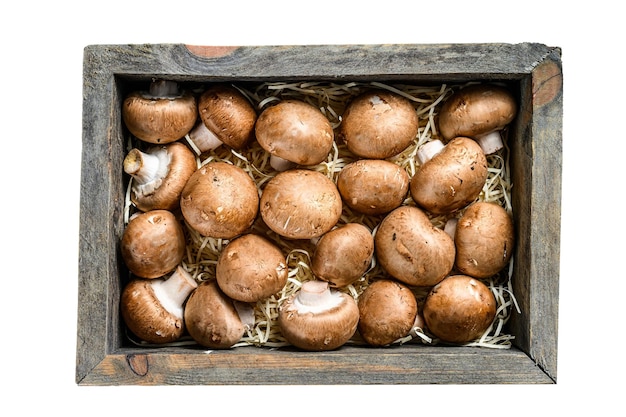 Cogumelos champignon frescos crus em uma caixa de madeira isolada em fundo branco