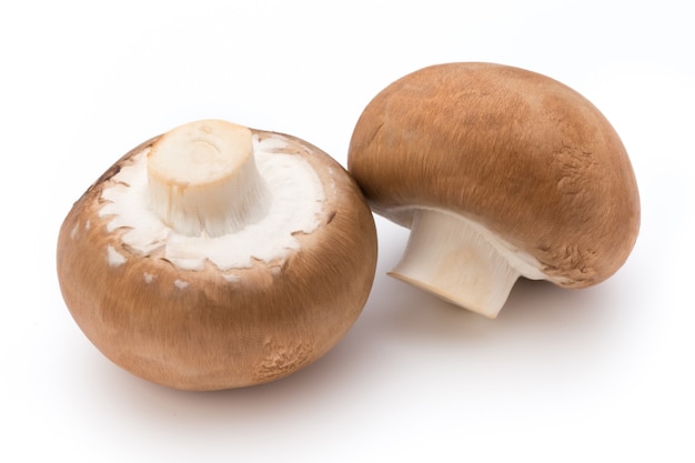 Cogumelos champignon frescos isolados no branco.