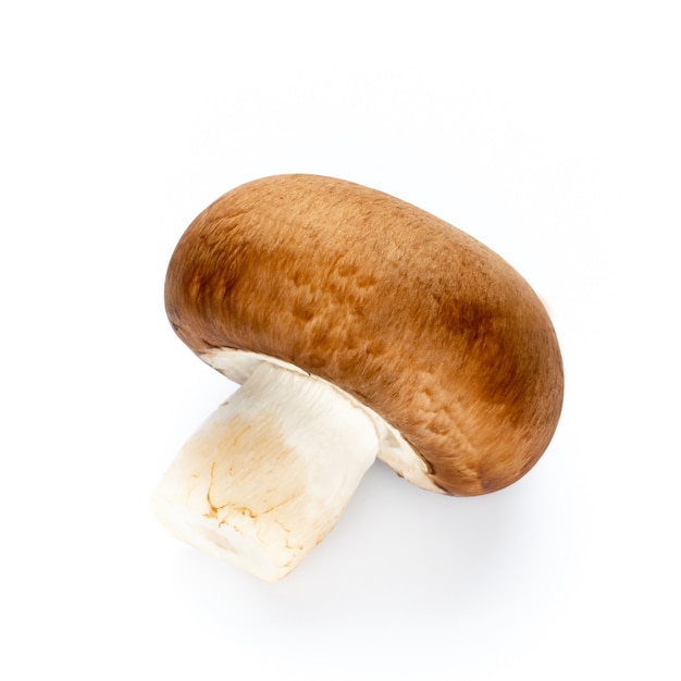 Cogumelos champignon frescos isolados no branco.