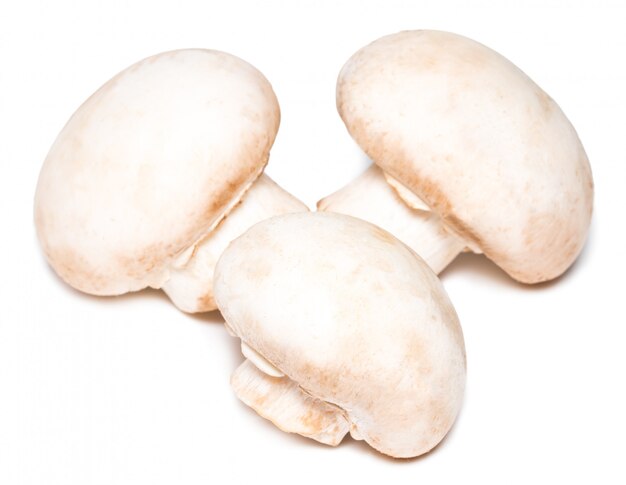 Cogumelos champignon frescos isolados no branco