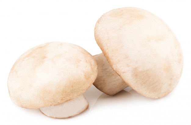 Cogumelos champignon frescos isolados no branco