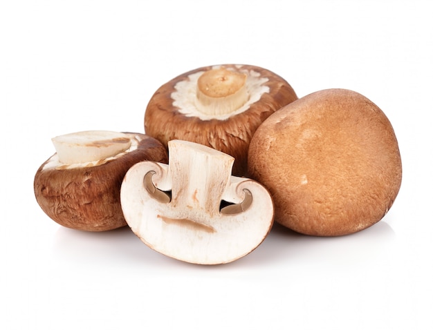 Cogumelos champignon frescos isolados no branco