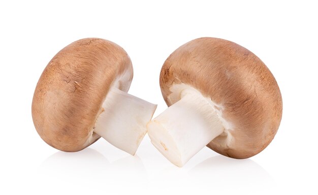 Cogumelos champignon frescos isolados no fundo branco