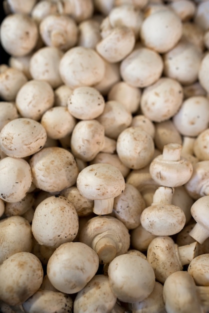 Cogumelos champignon frescos na loja