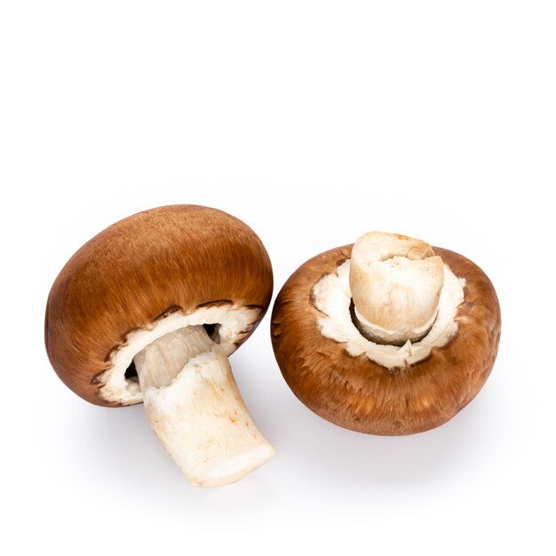 Cogumelos champignon frescos