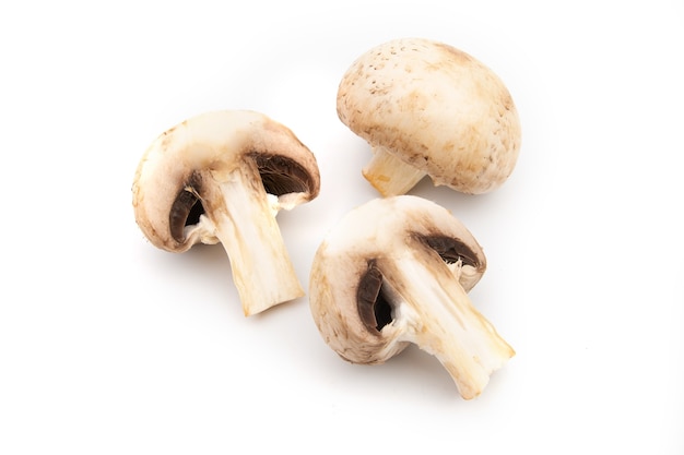 Cogumelos champignon isolado