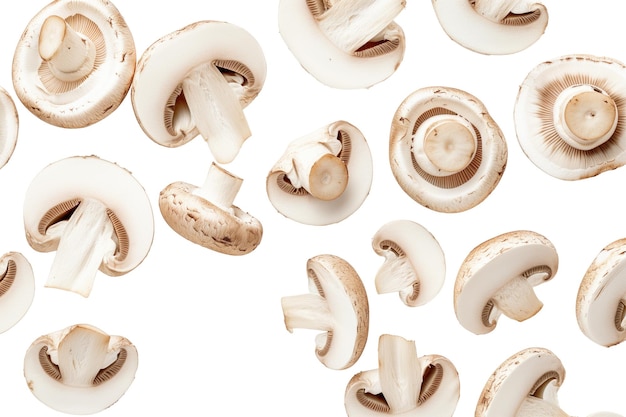 Cogumelos Champignon isolados em branco