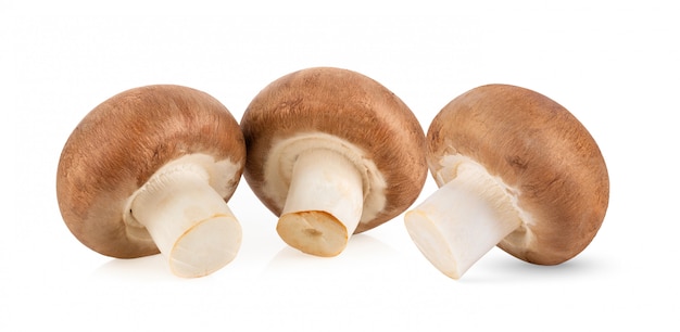 Cogumelos champignon isolados no branco