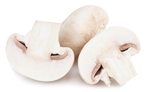 Cogumelos champignon isolados