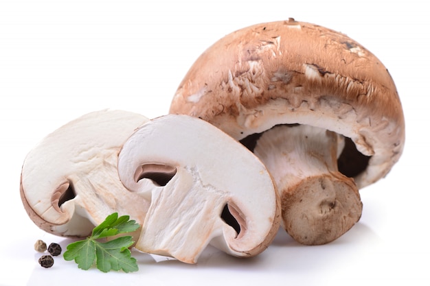 Cogumelos champignon isolados