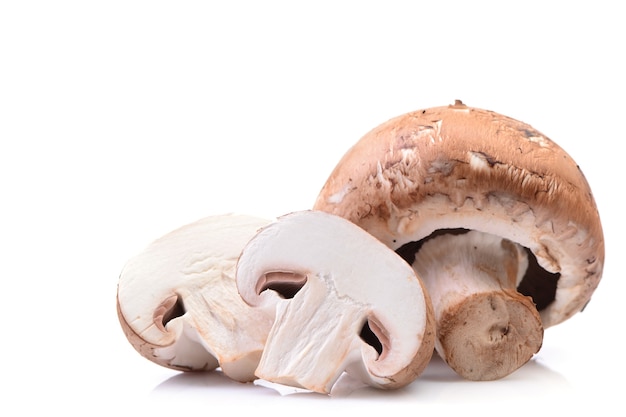 Cogumelos champignon isolados