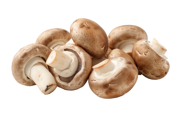 Cogumelos Champignon isolados