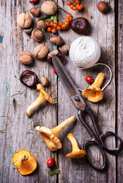 Foto cogumelos chanterelle com tesoura velha