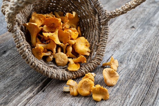 Cogumelos chanterelle em fundo de madeira