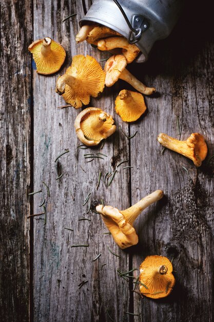 Cogumelos chanterelle