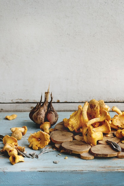 Cogumelos chanterelles crus não cozinhados