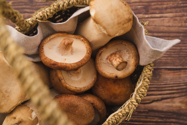 Foto cogumelos coletados na cesta