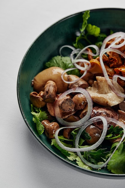 Cogumelos com cebola e ervas, cogumelos em conserva variados em um prato sobre um fundo claro, close-up.