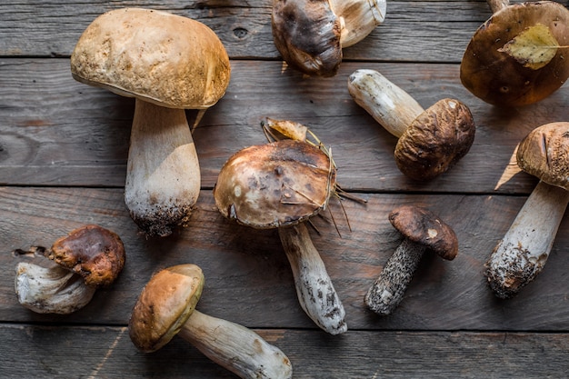 Cogumelos comestíveis da floresta close-up. Ceps boletus edulis sobre fundo de madeira, mesa rústica.