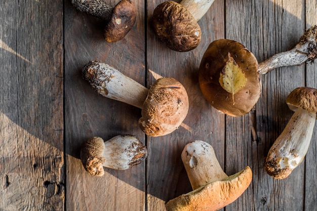 Cogumelos comestíveis da floresta close-up. Ceps boletus edulis sobre fundo de madeira, mesa rústica.