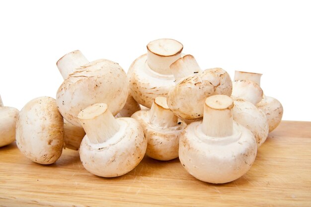 Foto cogumelos de champignon