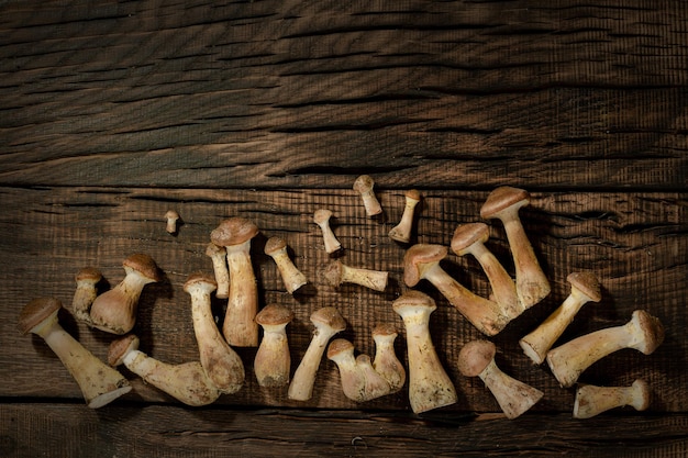 Cogumelos de cogumelos de mel cortados em uma mesa de madeira de perto