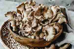 Foto cogumelos de maitake