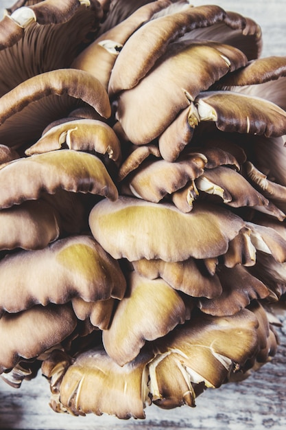 Cogumelos de ostra no fundo de madeira. Foco seletivo.