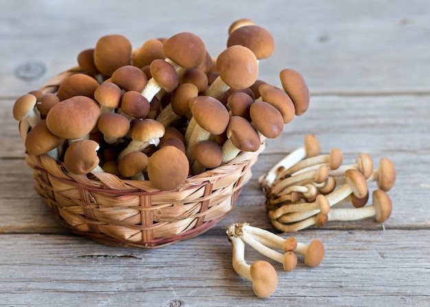Cogumelos em uma cesta em uma mesa de madeira