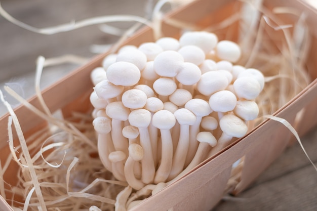 Cogumelos enoki na tabela de madeira, close-up.