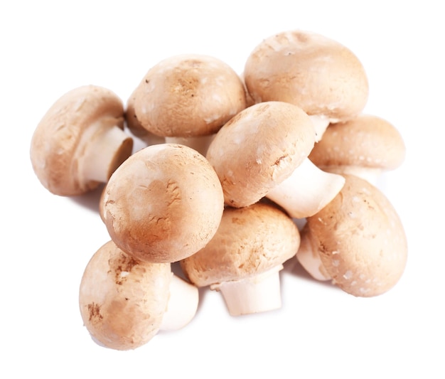 Cogumelos frescos isolados no branco