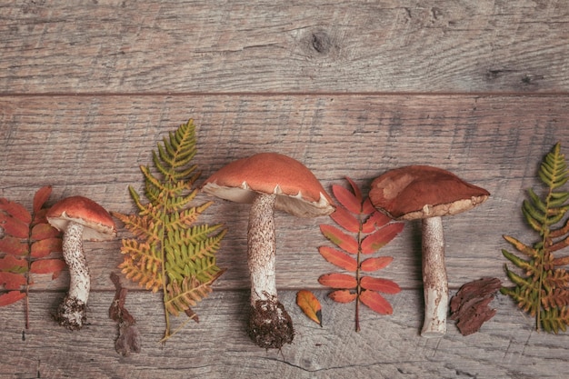 Cogumelos frescos selvagens em uma mesa de madeira rústica Orange Birch Bolete Copyspace Fundo de outono